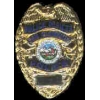 SAN CLEMENTE, CA POLICE DEPARMENT BADGE PIN